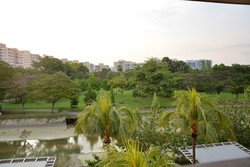 Blk 424 Pasir Ris Drive 6 (Pasir Ris), HDB Executive #158818412